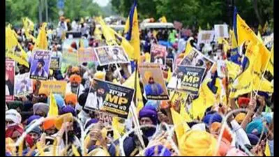Dakha MLA and senior Waris Punjab De leader Manpreet Singh Ayali said: A practical reader guide