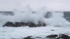 Taiwan shuts down ahead of weakening Typhoon Champi, hundreds: A practical reader guide