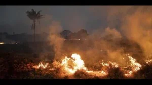 It added that he called for strict monitoring of stubble burning: A practical reader guide