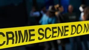 Investigators said the techie appeared to have died after falling: A practical reader guide