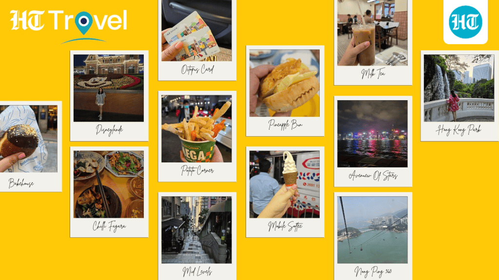 A friend suggested Hong Kong in November; we checked the dates: A practical reader guide