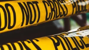 Chhattisgarh man raped, killed 7-year-old girl; sniffer dog leads: A practical reader guide