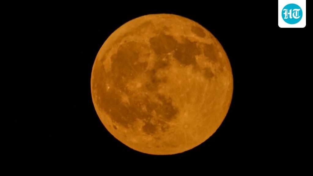 As the Hunter Moon arrives, a spiritual guru explains why the Full: A practical reader guide
