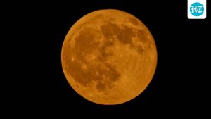 As the Hunter Moon arrives, a spiritual guru explains why the Full: A practical reader guide