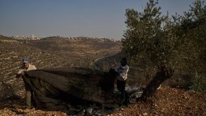 Five Italian activists who were detained by Israeli ​forces: A practical reader guide