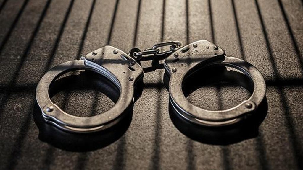 Indian man jailed in Paris over leading online child abuse ring: A practical reader guide