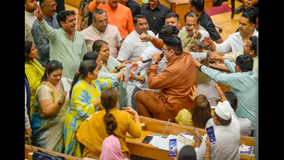 Delhi's MCD house sees clashes over ward funds, pollution and Yamuna: A practical reader guide