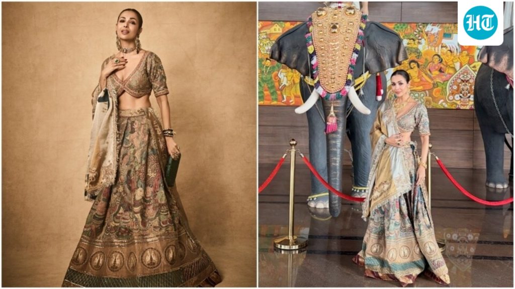 Malaika picked a hand-painted tussar silk kalamkari lehenga: A practical reader guide