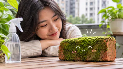 Young adults in China are embracing an unusual hobby of growing moss: A practical reader guide
