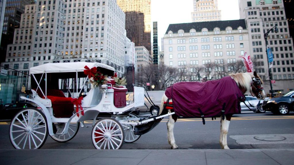 New York City is poised to phase out its iconic horse-drawn carriages: A practical reader guide