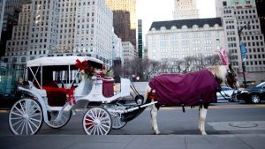 New York City is poised to phase out its iconic horse-drawn carriages: A practical reader guide