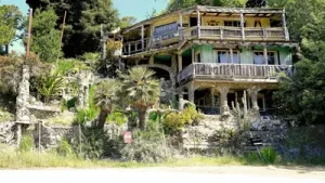 In 1928, California garbage collector Art Beal began a hillside: A practical reader guide