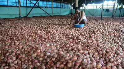 However, some onion traders in Nashik said wholesale prices could: A practical reader guide
