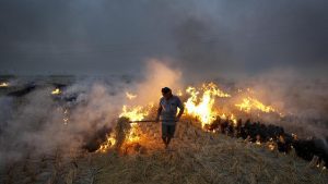 Why stubble fires keep coming back: A practical reader guide