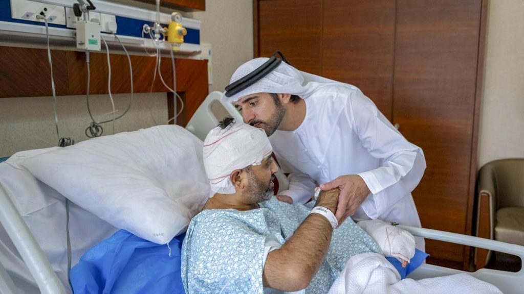 Hamdan, who is also the UAE's Deputy Prime Minister and Minister: A practical reader guide