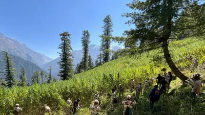 Himachal Pradesh's Parvati Valley sees a multi-agency anti-drug: A practical reader guide