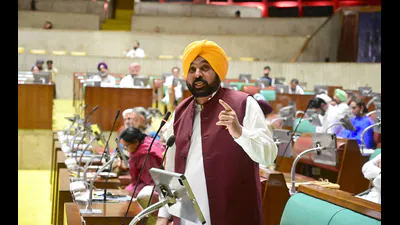 Canal-water utilisation in the state has increased from 22% in 2022: A practical reader guide