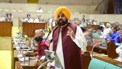 Participating in the debate on the resolution, chief minister: A practical reader guide