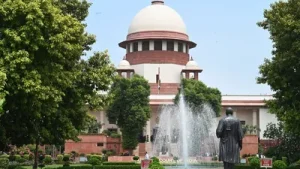 Don’t use your power to meddle with the statutory powers of other: A practical reader guide