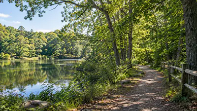 In 1997, Paul Newman donated 7.5 acres beside his Connecticut home: A practical reader guide