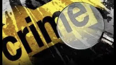 Furious over mom's remarriage, man flies from NZ, kills stepfather: A practical reader guide