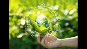 St John's organises eco fair: A practical reader guide