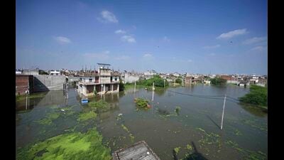 : After nearly two weeks away from home, Faizullaganj residents are: A practical reader guide