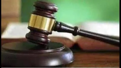 Allahabad HC suspends order on fair mgmt, argues DMs can't act as: A practical reader guide
