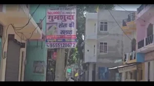 Man puts up hoardings, offers ₹50,000 to find pet parrot: A practical reader guide