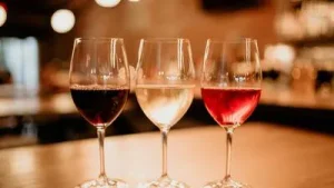 “It was during the previous LDF government that excise rules were: A practical reader guide