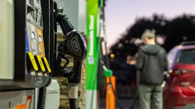 Oil prices remained around the $100 mark on Monday despite a major: A practical reader guide
