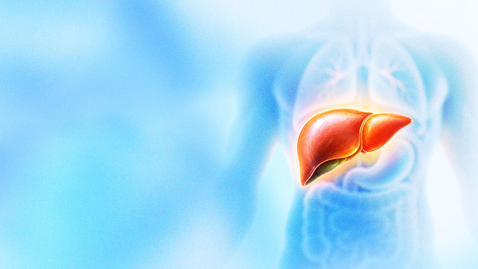 Both fatty liver and liver cancer in early stages do not present: A practical reader guide