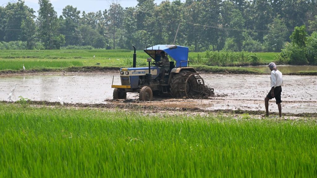 Most of rural agricultural workers landed in non-productive, informal: A practical reader guide