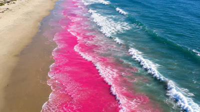 In 2015, scientists made that happen on purpose off Southern: A practical reader guide