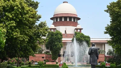 At this, the bench emphasised that the court was examining: A practical reader guide