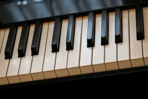 A practical guide to everyday Explained: Why are piano keys black: A practical reader guide