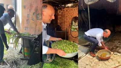 German official visits Indian village, feeds animals; internet abuzz: A practical reader guide