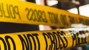 Two men were killed and another was injured after a vehicle allegedly: A practical reader guide