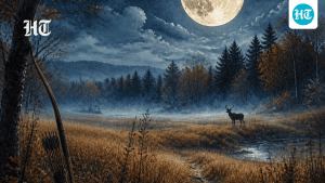 Sharad Purnima, also known as Kojagari Purnima , falls on Sunday: A practical reader guide
