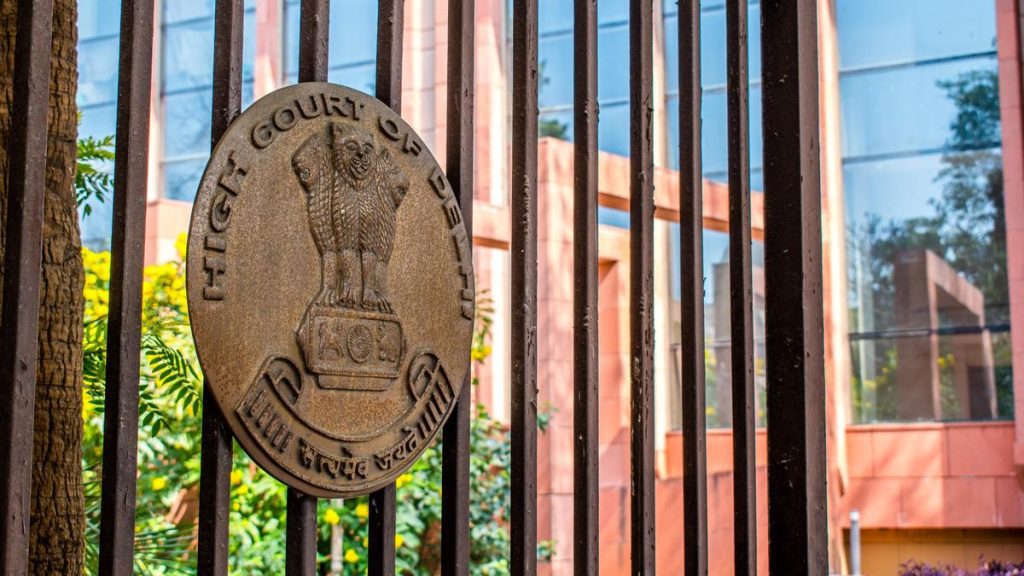 What does the Delhi HC say? — Visa in itself does not guarantee entry: A practical reader guide