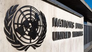“We hope that the UN human rights mechanisms will rise above: A practical reader guide