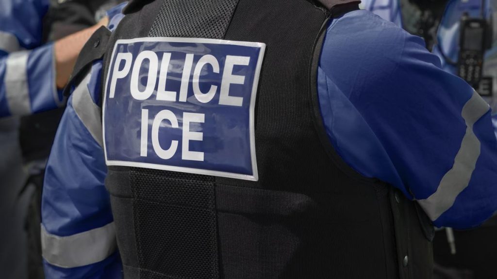 Immigration and Customs Enforcement (ICE), is likely to be set free: A practical reader guide