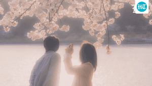 Often linked to ideas of fate and the circumstances that bring people: A practical reader guide