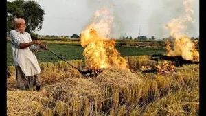 Haryana appears to be making an early breakthrough in its battle: A practical reader guide