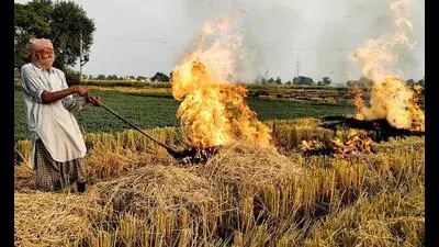Haryana appears to be making an early breakthrough in its battle: A practical reader guide