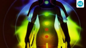 Chakras in the human body are an important concept in ancient yogic: A practical reader guide