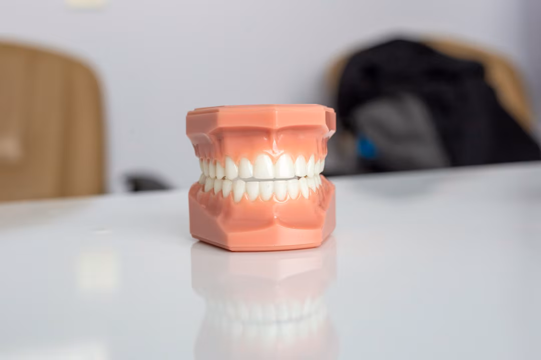 Ever run your tongue over your teeth and suddenly notice a tiny rough: A practical reader guide