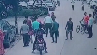 Pug mauled to death by Great Dane inside Noida residential society: A practical reader guide
