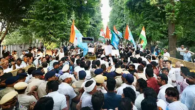 Kashmiri man 'beaten by Rahul's supporters' over Modi slogans: A practical reader guide