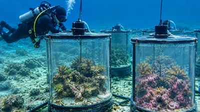 Geological Survey , a 10-month controlled experiment in Hawaii: A practical reader guide